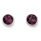Beginnings Crystal Birthstone Earrings
