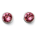 Beginnings Crystal Birthstone Earrings