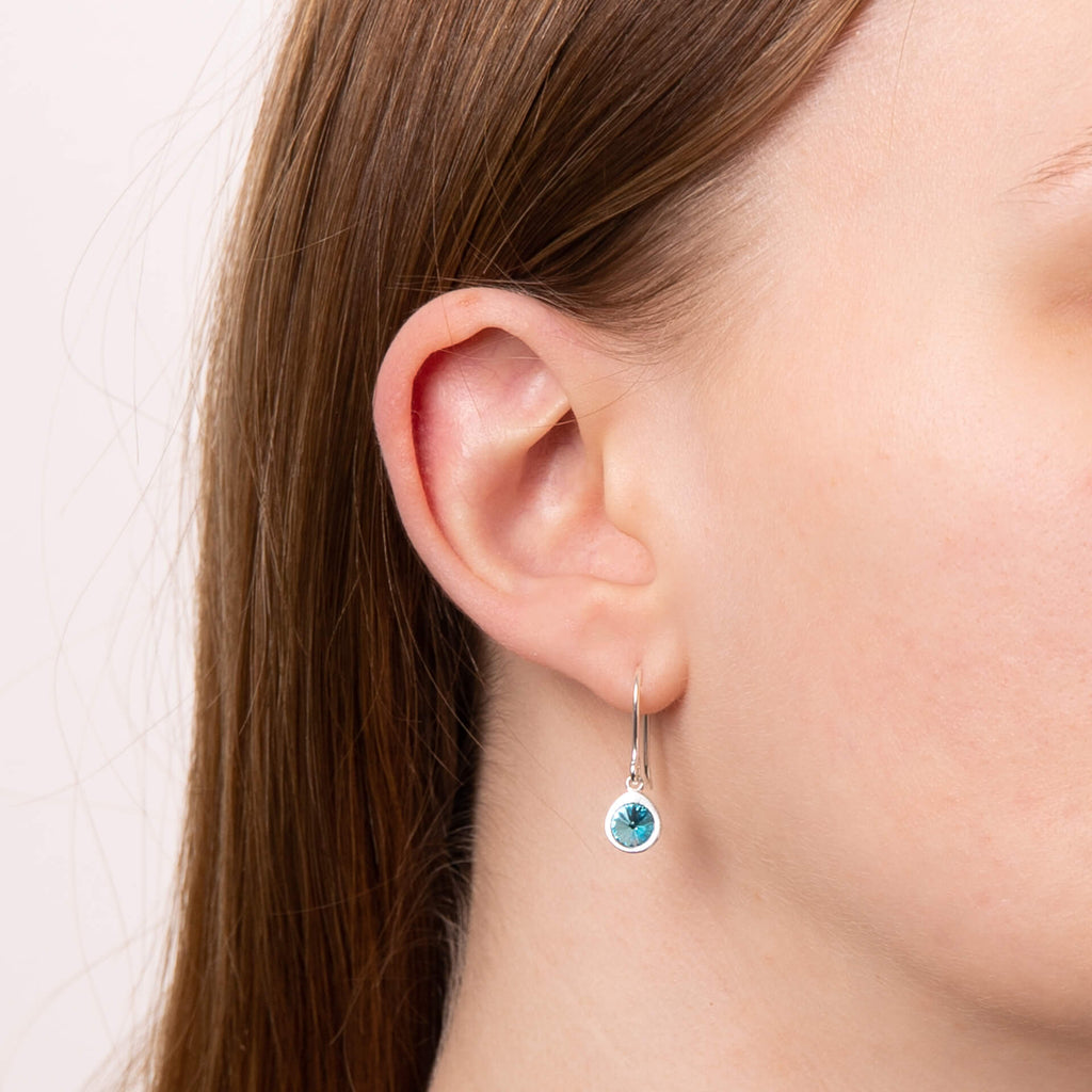 Beginnings Crystal Drop Earrings