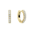 Diamonfire Claw Set Zirconia Hoop Earrings