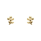 Laura Ashley Fashion Mini Albertine Rose Earrings