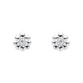 Laura Ashley Fashion Cosmos Flower Earrings
