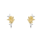 Laura Ashley Silver Heritage Daffodil Stud Earrings