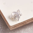 Elephant Silver Charm