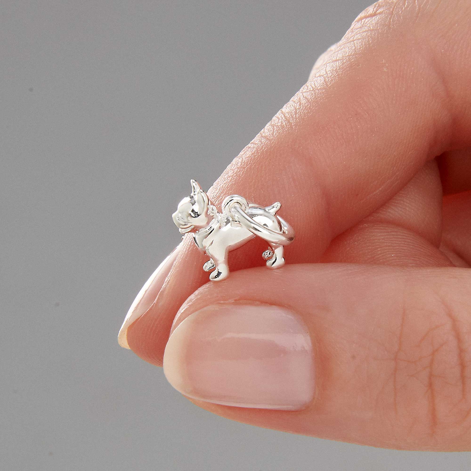 Dije de plata de bulldog francés