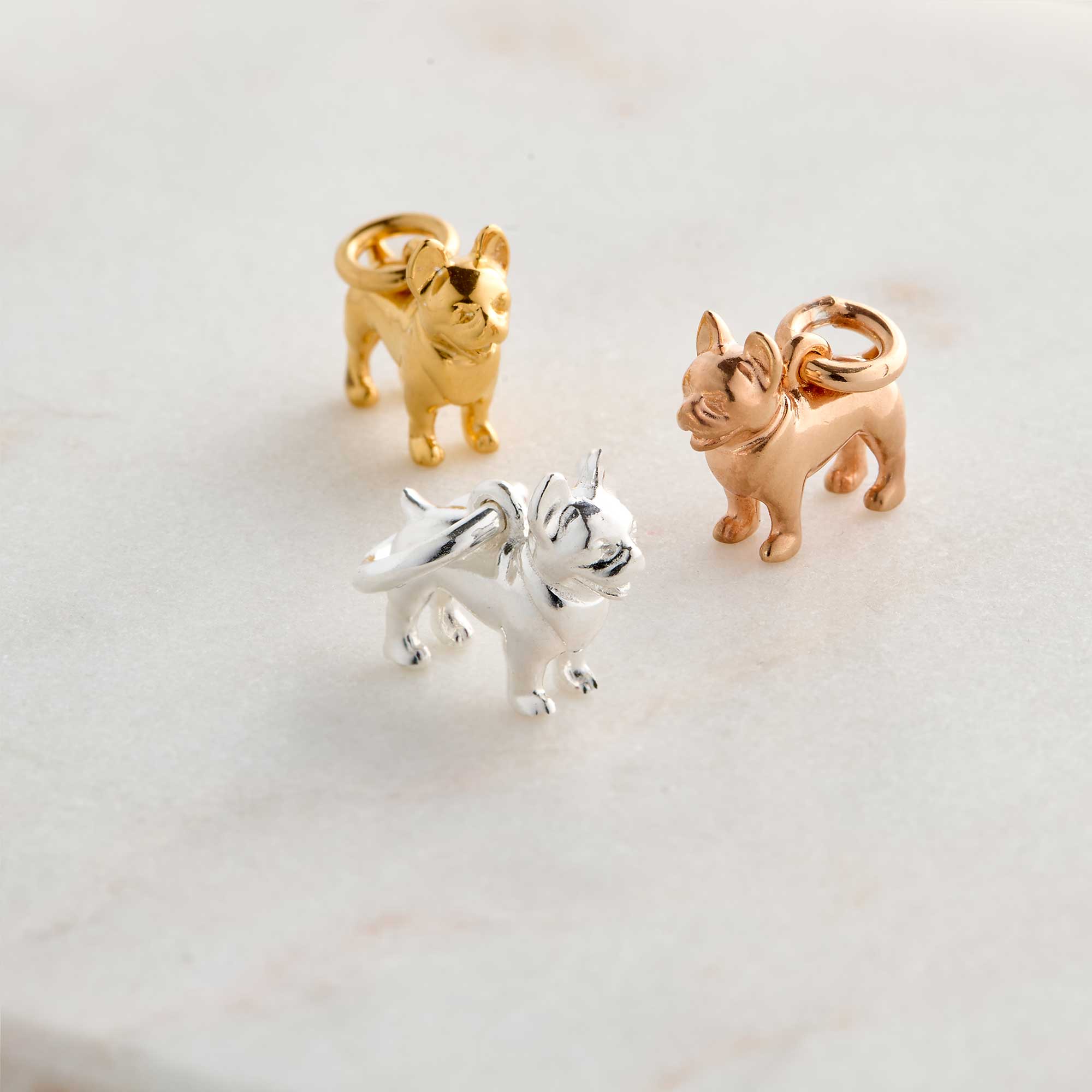 Dije de plata de bulldog francés