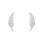 Elements Gold Feather Stud Earrings