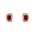 Elements Gold Chunky Border Precious Stone Stud Earrings