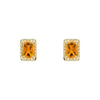 Elements Gold Detailed Octagon Citrine Stud Earrings