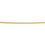 Beginnings Plated Curb Chain with Extender 56cm-61cm