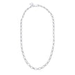 Beginnings Long Link Chain Necklace with Tag