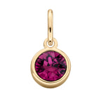 Beginnings Crystal Birthstone Charm