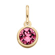 Beginnings Crystal Birthstone Charm