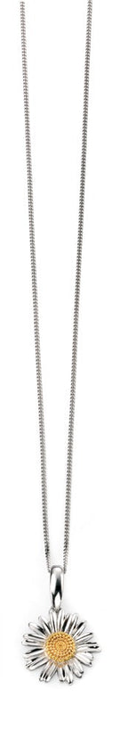 Beginnings Yellow Gold Plated Detail Daisy Pendant