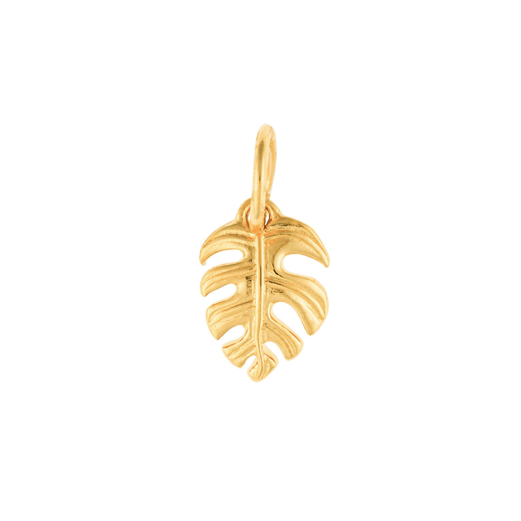 Beginnings Palm Leaf Pendant Charm