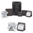 Aeroplane Silver Charm