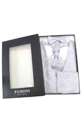 Silver Paisley Waistcoat & Cravat Set
