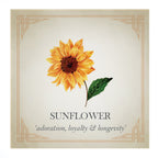 Boucles d'oreilles clous tournesol en vermeil argent et or