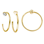 Beginnings Set of 6 Nose Rings